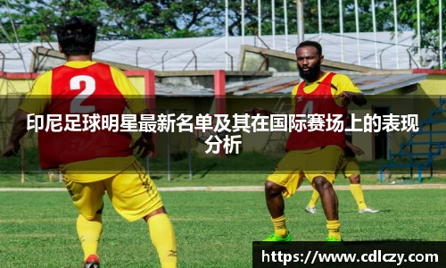 印尼足球明星最新名单及其在国际赛场上的表现分析