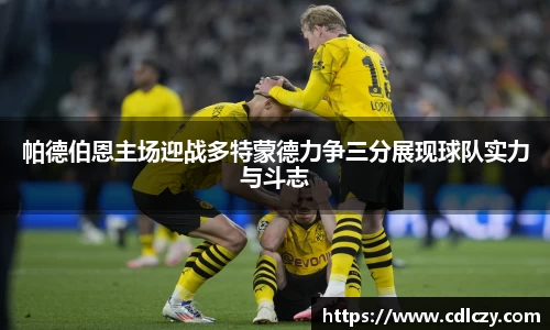 帕德伯恩主场迎战多特蒙德力争三分展现球队实力与斗志